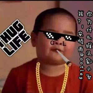 安顺雨-你为什么推人家小女孩（安顺雨hard bootlg）（安顺雨 remix）