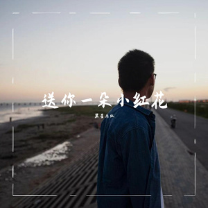送你一朵小红花(mm)（翻自 赵英俊）