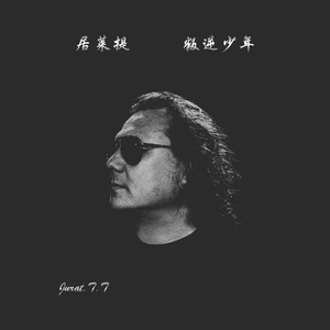 苦儿流浪记（国语）