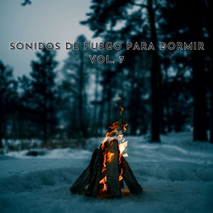 Sonidos Relajantes De Fuego