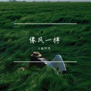 像风一样（Cover 薛之谦）