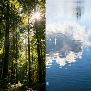 人生半半