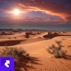 风沙中的刀哥（男声版）