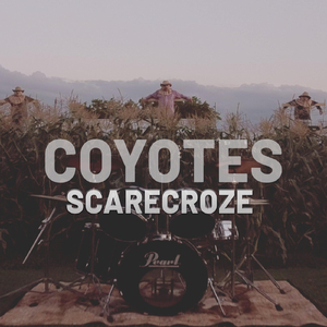 Coyotes