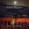 Barley Station - Into the Night