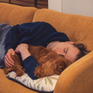 Friendly Fire (cover)