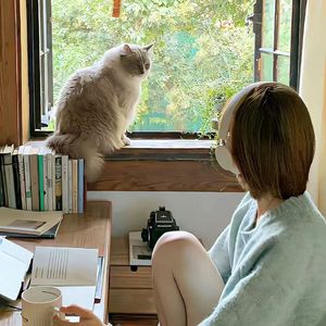 人间独自流浪 伴奏