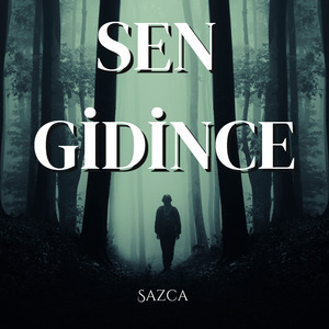 Sen Gidince
