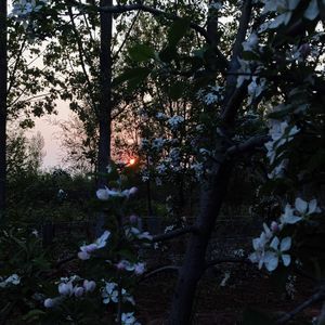 万般情长皆为过往 （原）