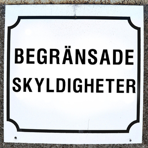 Din enda vän
