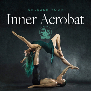 Discovering Stillness