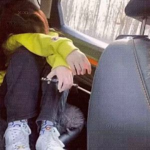 1_hhh_204229_track0_204229