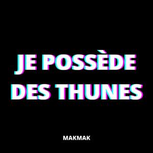 JE POSSEDE DES THUNES