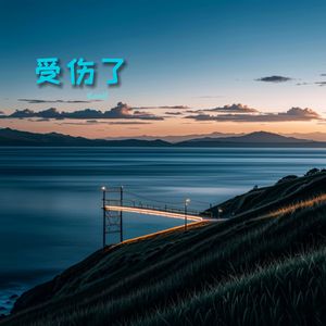 受了伤