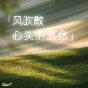 风吹散心头的思念（深情版）