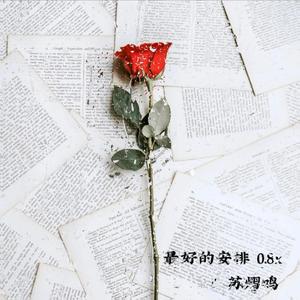 最好的安排 0.8x