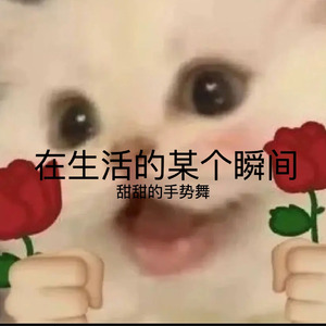 在生活的某个瞬间 (甜甜的手势舞)