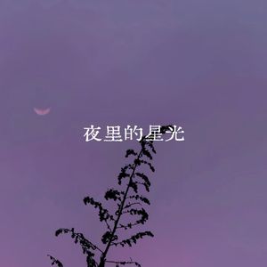 夜里的星光