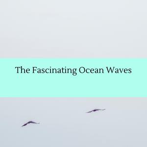 Evolving Ocean Waves