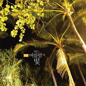 어느 여름 밤의 빛