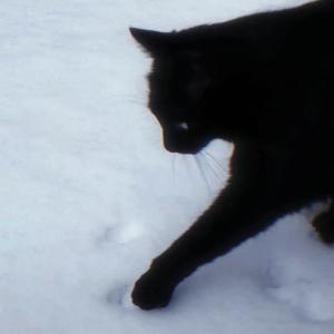 梦臆Deamy(Cover 邹沛沛）