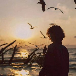 花满楼-走在冷风中