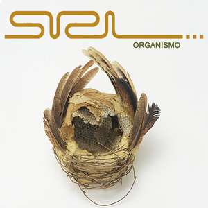 Organismo 16 (Cérebro)