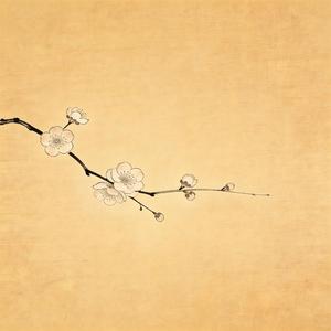 今夜花落眉间（好似你吻我的脸）