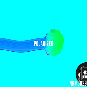 Polarized (Original Mix)