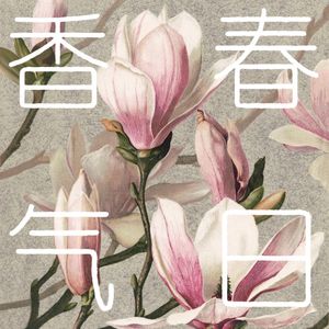 春日香气 伴奏