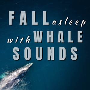 Sample Whale Sounds