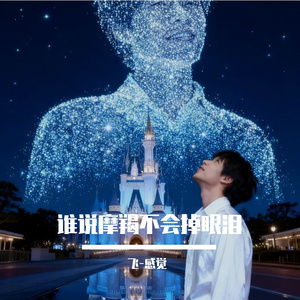 谁说摩羯不会掉眼泪