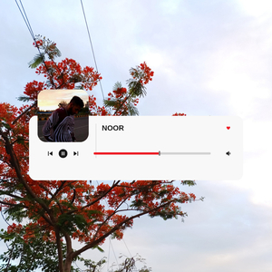 NOOR