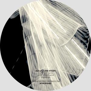 Case Study (Leon Segka Edit)