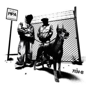 Pipa