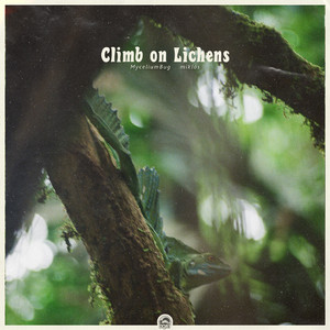 Climb on Lichens