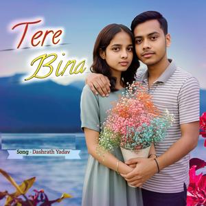 Tere Bina (Hindi)