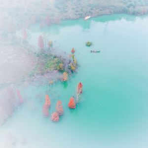 我该用什么状态告诉你我最大的遗憾就是你