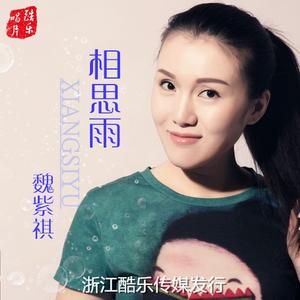 相思雨(DJ版)