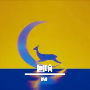 回响