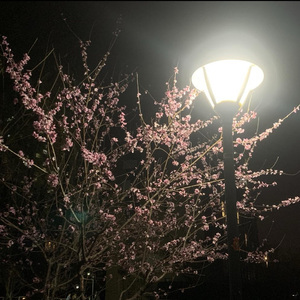 十八岁（prod.Peril）