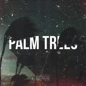 Palm Trees (feat. ssolumm & Pżyck Summit)