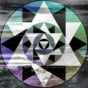 The Fox & The Cat (Original Mix)