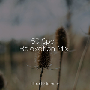 Respirando Profundamente
