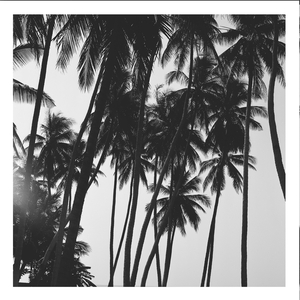 Живой (Sunko Mix)