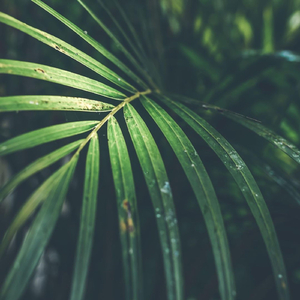 You Are Like Sunshine