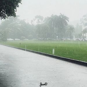 [Free] "雨" Melodic Pop Beat
