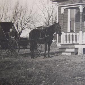 Drake Type (feat. Smoove & King Pacman)