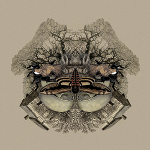 Wolves