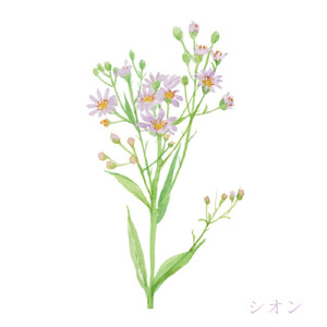 シオン